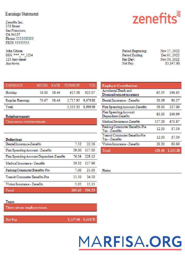 Downloadable USA Zenefits technology company pay stub download for verification